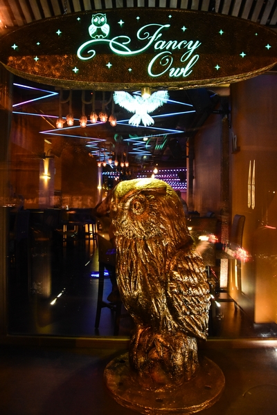 Fancy Owl on Friday night 